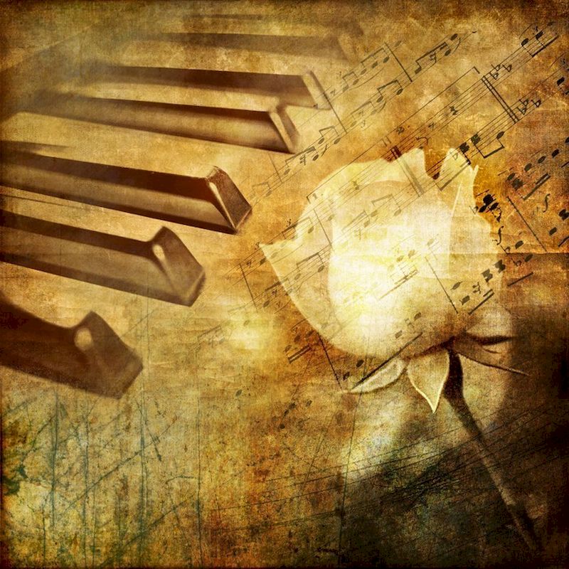 GATYZTORY Piano Rose Diamond P - đánh giá và giá Resin Art Rose